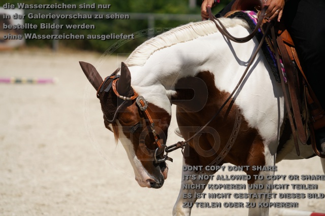 s_K3F02212.JPG